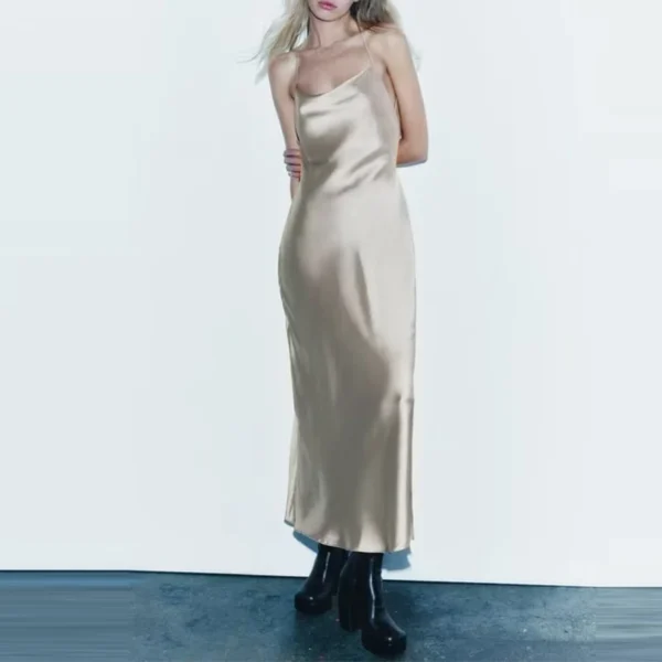 Slip Long Dresses for Women Sexy Backless Female Dress Party Maxi Dresses Woman Thin Straps Autumn Dress - Image 5